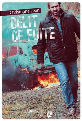 Délit de fuite pdf epub mobi 电子书 下载