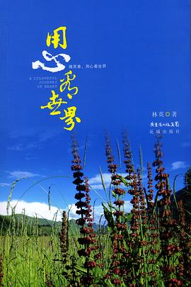 用心看世界 pdf epub mobi 电子书 下载