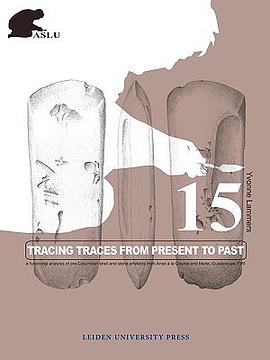 Tracing Traces from Present to Past pdf epub mobi 下载