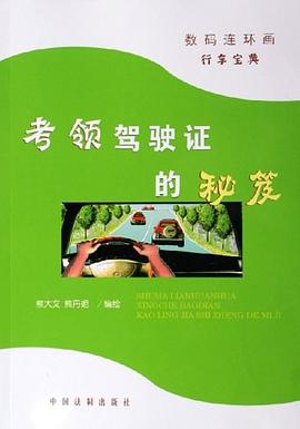 考領駕駛證的秘笈 pdf epub mobi 電子書 下載