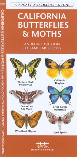 California Butterflies and Moths pdf epub mobi 电子书 下载