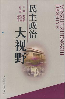 民主政治大视野 pdf epub mobi 电子书 下载