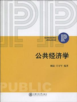 公共经济学 pdf epub mobi 电子书 下载