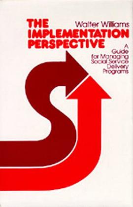 The Implementation Perspective pdf epub mobi 电子书 下载