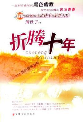 折腾十年 pdf epub mobi 电子书 下载