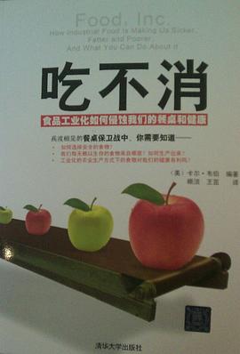 吃不消 pdf epub mobi 电子书 下载