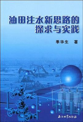 油田注水新思路的探求与实践 pdf epub mobi 电子书 下载