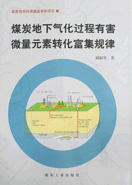 煤炭地下气化过程有害微量元素转化富集规律 pdf epub mobi 电子书 下载