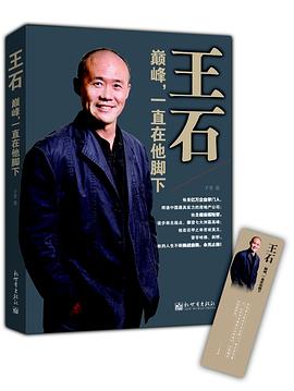 王石：巅峰，一直在他脚下 pdf epub mobi 电子书 下载