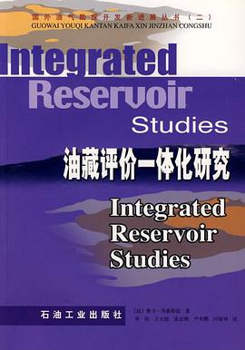 油藏评价一体化研究 pdf epub mobi 电子书 下载
