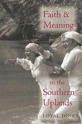 Faith and Meaning in the Southern Uplands pdf epub mobi 电子书 下载