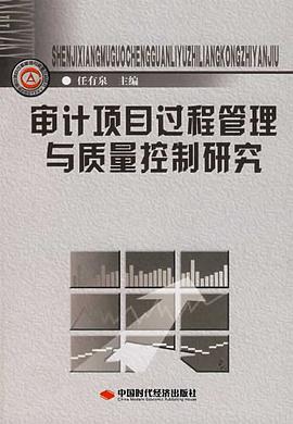 审计项目过程管理与质量控制研究 pdf epub mobi 电子书 下载