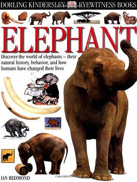 Elephant pdf epub mobi 电子书 下载