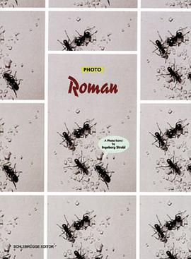 Photo Roman pdf epub mobi 电子书 下载