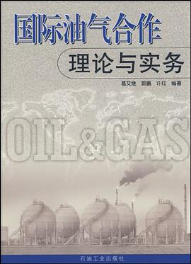 国际油气合作理论与实务 pdf epub mobi 电子书 下载