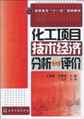 化工项目技术经济分析与评价