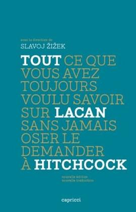 Tout ce que vous avez toujours voulu savoir sur Lacan sans jamais oser le demander à Hitchcock pdf epub mobi 电子书 下载