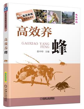高效养蜂 pdf epub mobi 电子书 下载