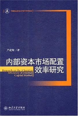内部资本市场配置效率研究 pdf epub mobi 电子书 下载