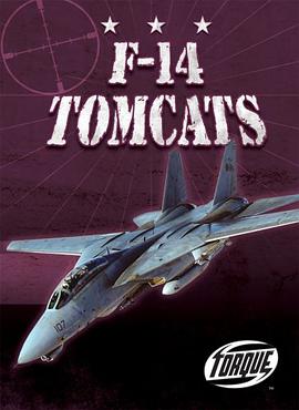 F-14 Tomcats pdf epub mobi 电子书 下载