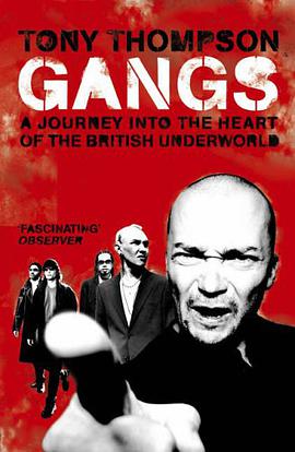Gangs pdf epub mobi 电子书 下载