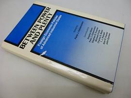 Between Power and Plenty pdf epub mobi 电子书 下载