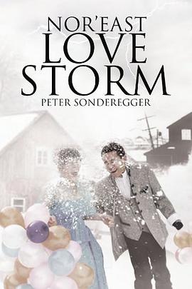 Nor'east Love Storm pdf epub mobi 电子书 下载