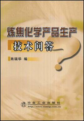 炼焦化学产品生产技术问答 pdf epub mobi 电子书 下载