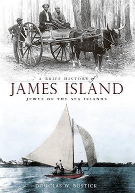 A Brief History of James Island pdf epub mobi 电子书 下载