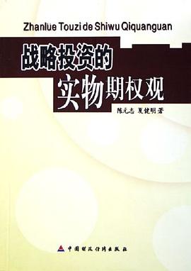 战略投资的实物期权观 pdf epub mobi 电子书 下载