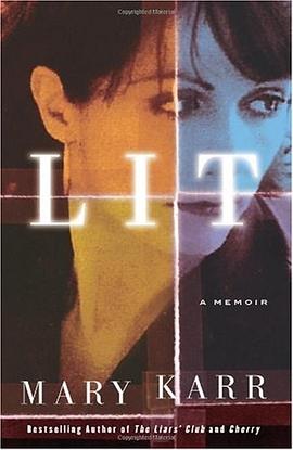 Lit pdf epub mobi 电子书 下载