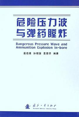危险压力波与弹药膛炸 pdf epub mobi 电子书 下载