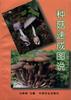 種菇速成圖說 pdf epub mobi 電子書 下載