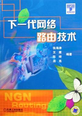 下一代网络路由技术 pdf epub mobi 电子书 下载