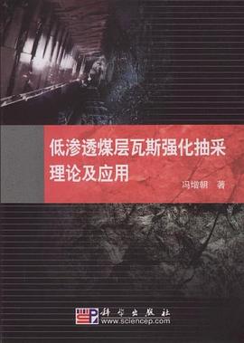 低渗透煤层瓦斯强化抽采理论及应用 pdf epub mobi 电子书 下载