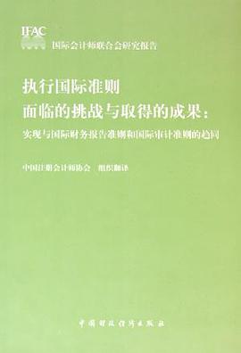 执行国际准则面临的挑战与取得的成果