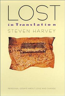 Lost in Translation pdf epub mobi 电子书 下载