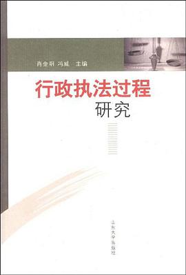 行政執法過程研究
