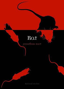 Rat pdf epub mobi 电子书 下载