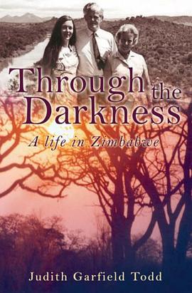 Through the Darkness pdf epub mobi 下载