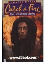 Catch A Fire pdf epub mobi 电子书 下载