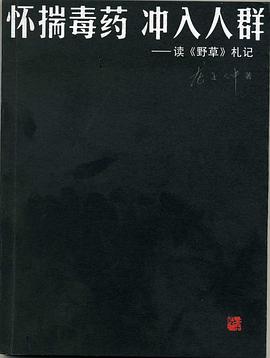 怀揣毒药冲入人群 pdf epub mobi 电子书 下载