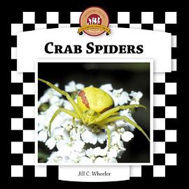 Crab Spiders
