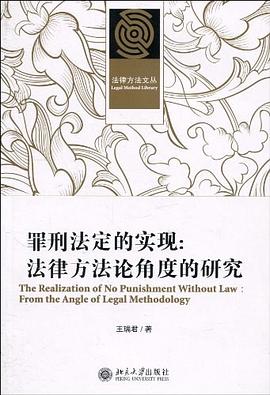 罪刑法定的实现 pdf epub mobi 电子书 下载
