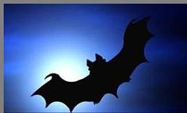 蝙蝠密码 pdf epub mobi 电子书 下载