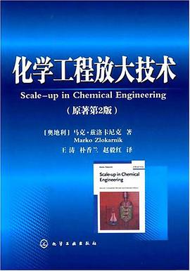 化学工程放大技术 pdf epub mobi 电子书 下载