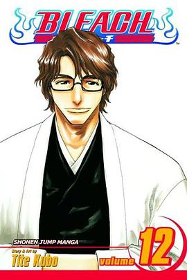 Bleach, Volume 12 pdf epub mobi 电子书 下载