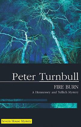 Fire Burn pdf epub mobi 电子书 下载