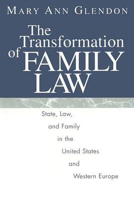 The Transformation of Family Law pdf epub mobi 电子书 下载