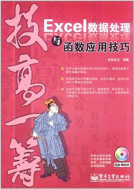 Excel数据处理与函数应用技巧 pdf epub mobi 电子书 下载